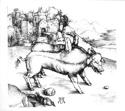 Cerdo Monstruoso de Albrecht Dürer